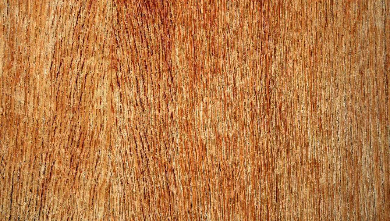 plywood, wood, texture, material, graphic, design, material collection, plywood, plywood, plywood, plywood, plywood. Comparing home workshop work surfaces: tops, boxes and sacrificial sheets