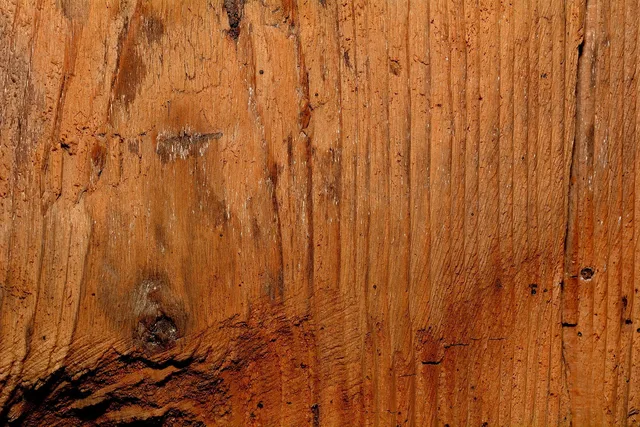 solid wood, wood, structure, natural product, texture, close up, grain, solid wood, solid wood, solid wood, solid wood, solid wood. Home workshops materials: movement, fit and safety