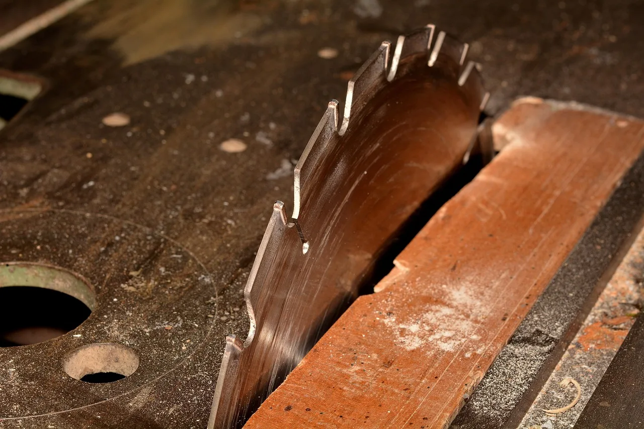 saw, saw blade, saw table, cut, wood work, cutting blade, close up, saw, saw, saw, saw, saw, saw blade, wood work. Home workshop costs expert tips: traps, not dollar figures